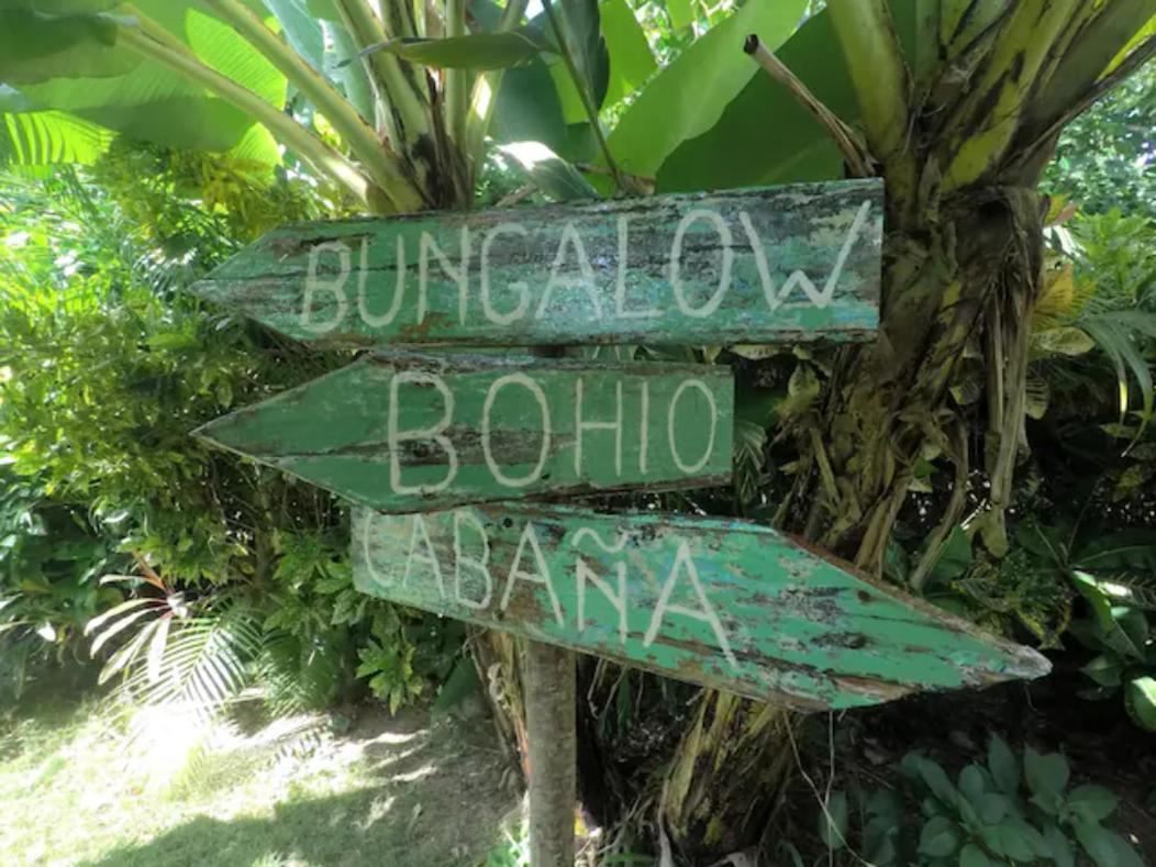 Dream Glamping Jungle Bohio Hotel Las Terrenas Ngoại thất bức ảnh