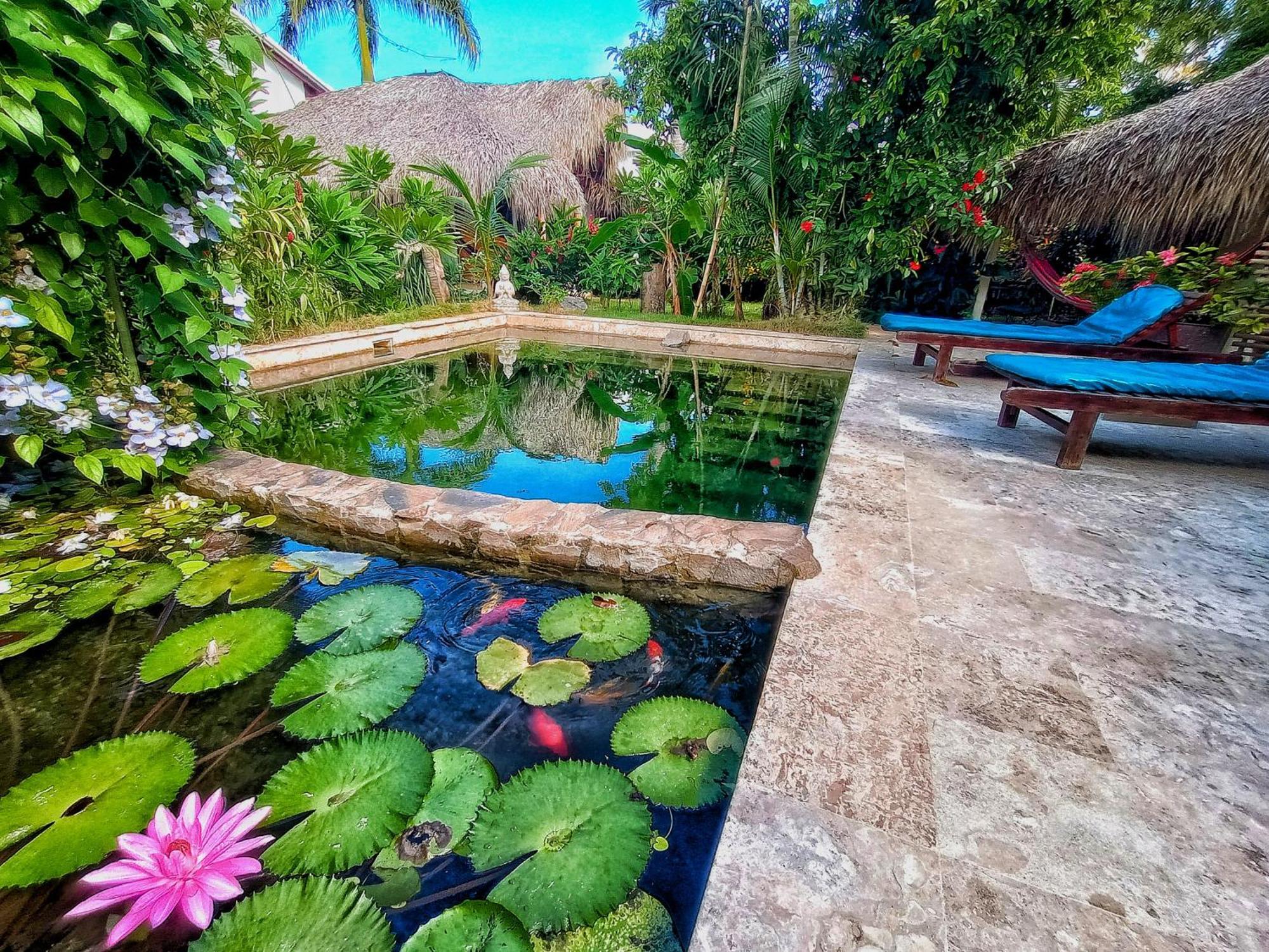 Dream Glamping Jungle Bohio Hotel Las Terrenas Ngoại thất bức ảnh