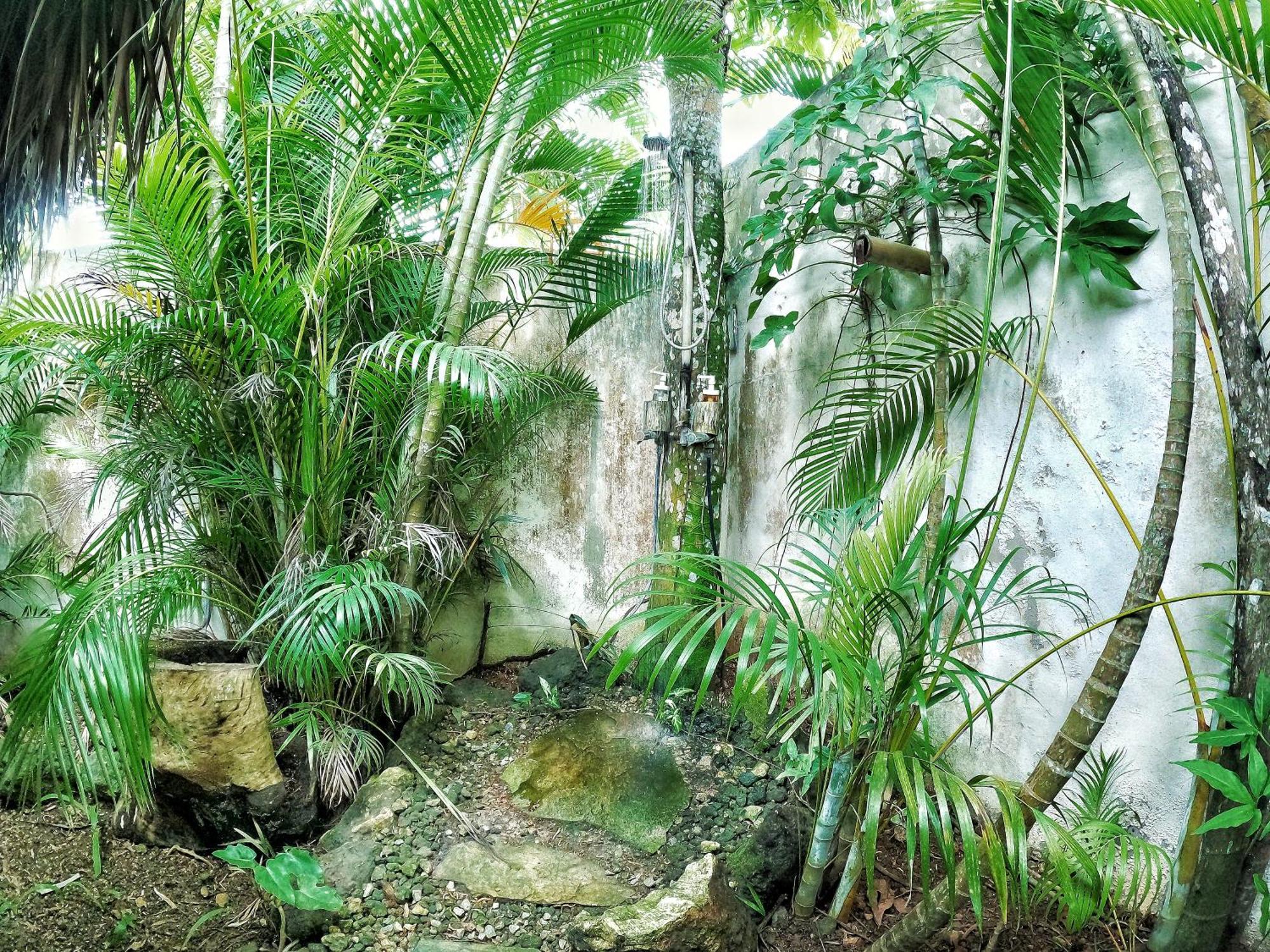 Dream Glamping Jungle Bohio Hotel Las Terrenas Ngoại thất bức ảnh