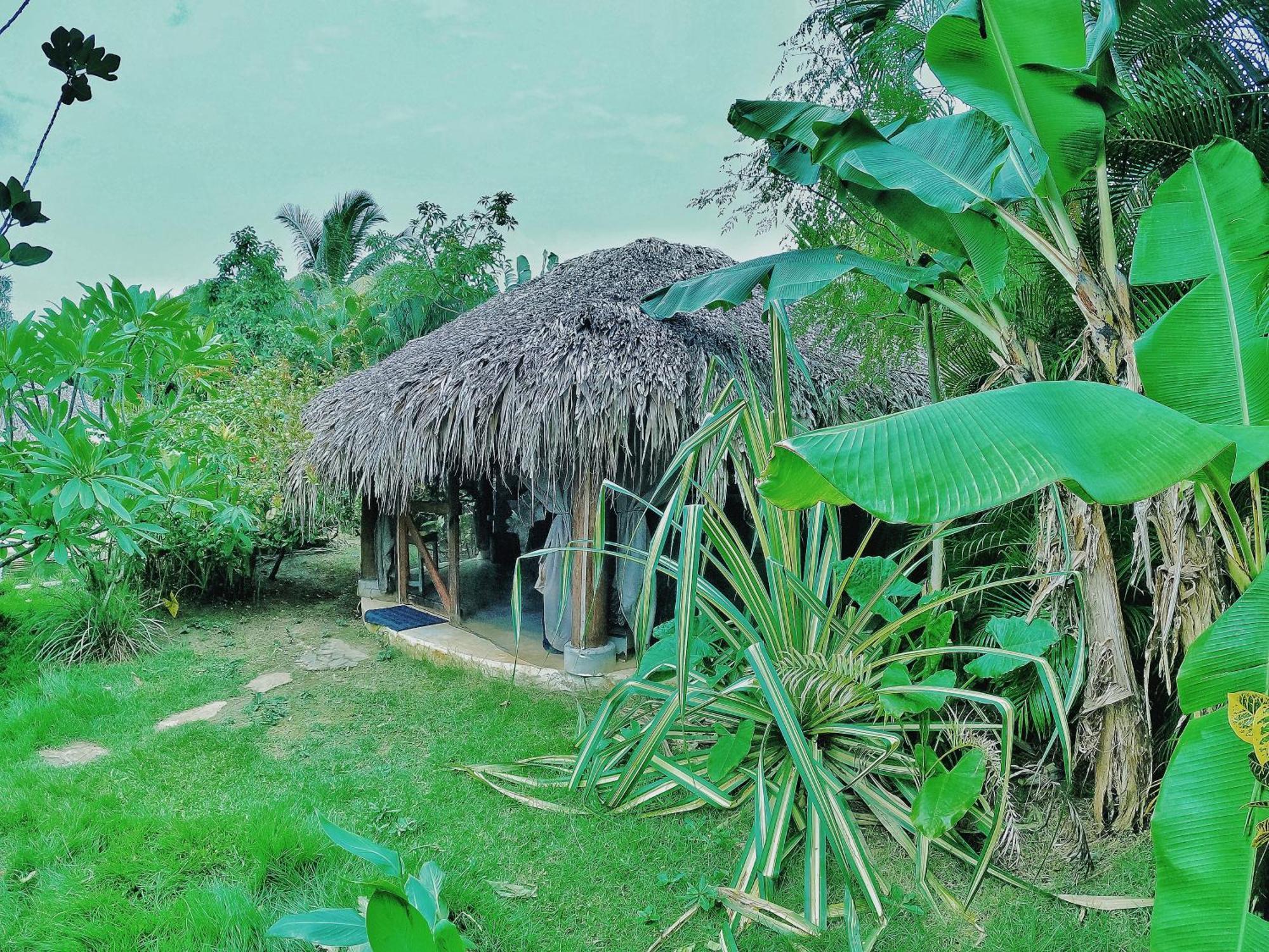 Dream Glamping Jungle Bohio Hotel Las Terrenas Ngoại thất bức ảnh
