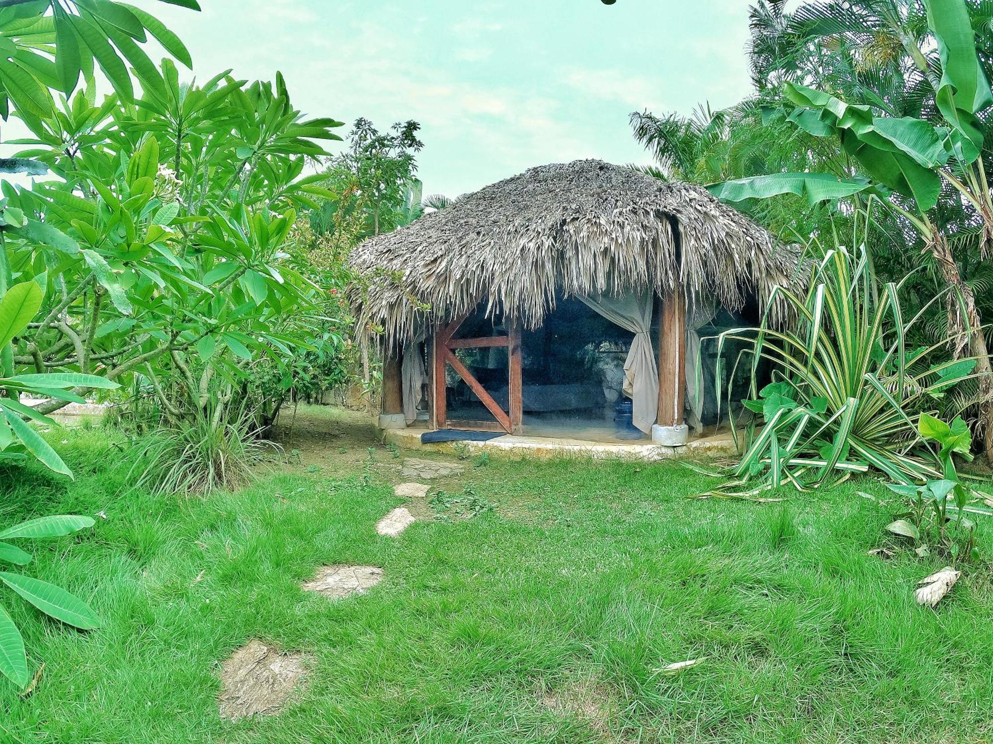 Dream Glamping Jungle Bohio Hotel Las Terrenas Ngoại thất bức ảnh